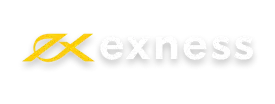 exness logo